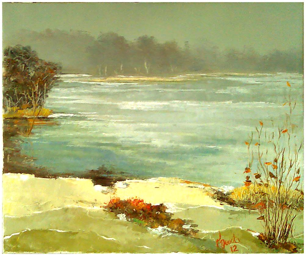 GIORNATA GELIDA SUL LAGO