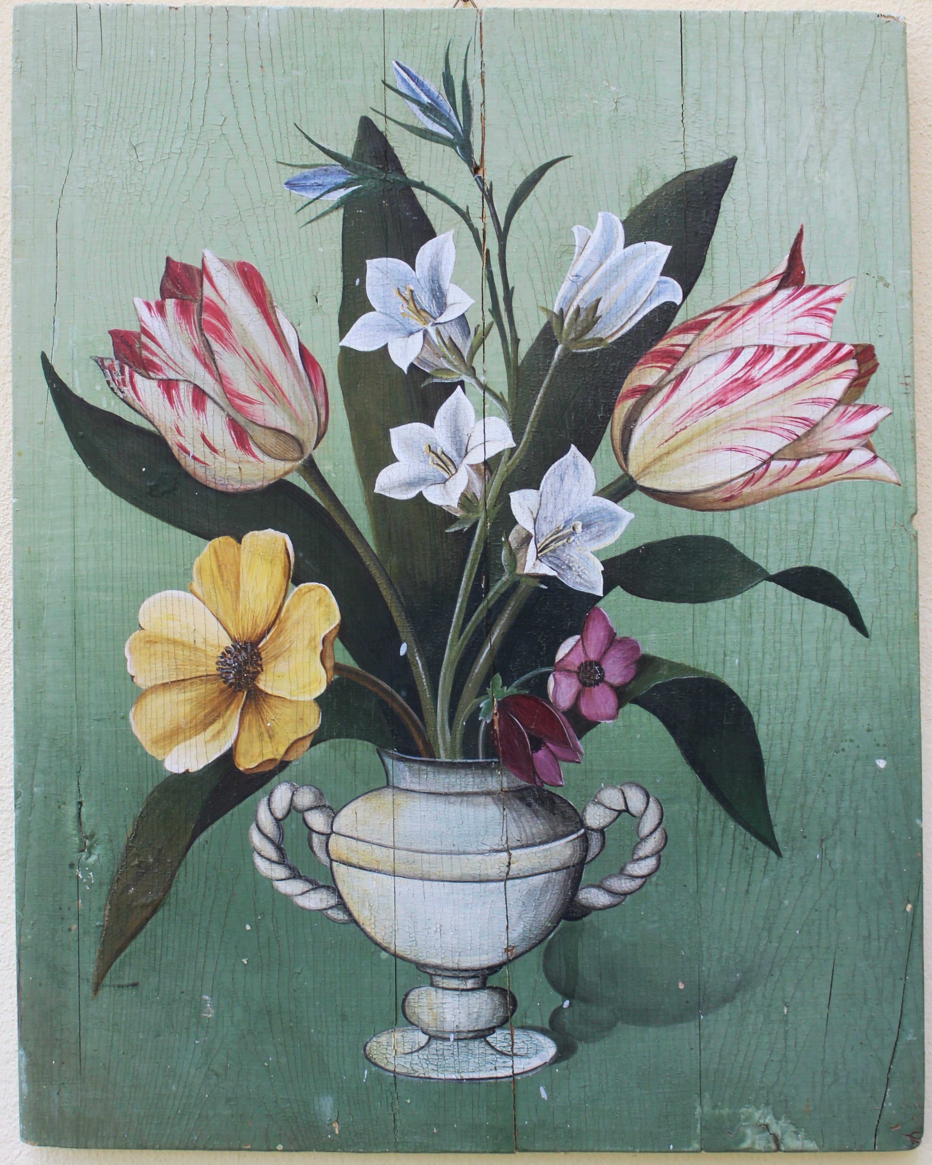 Tulipano fondo verde
