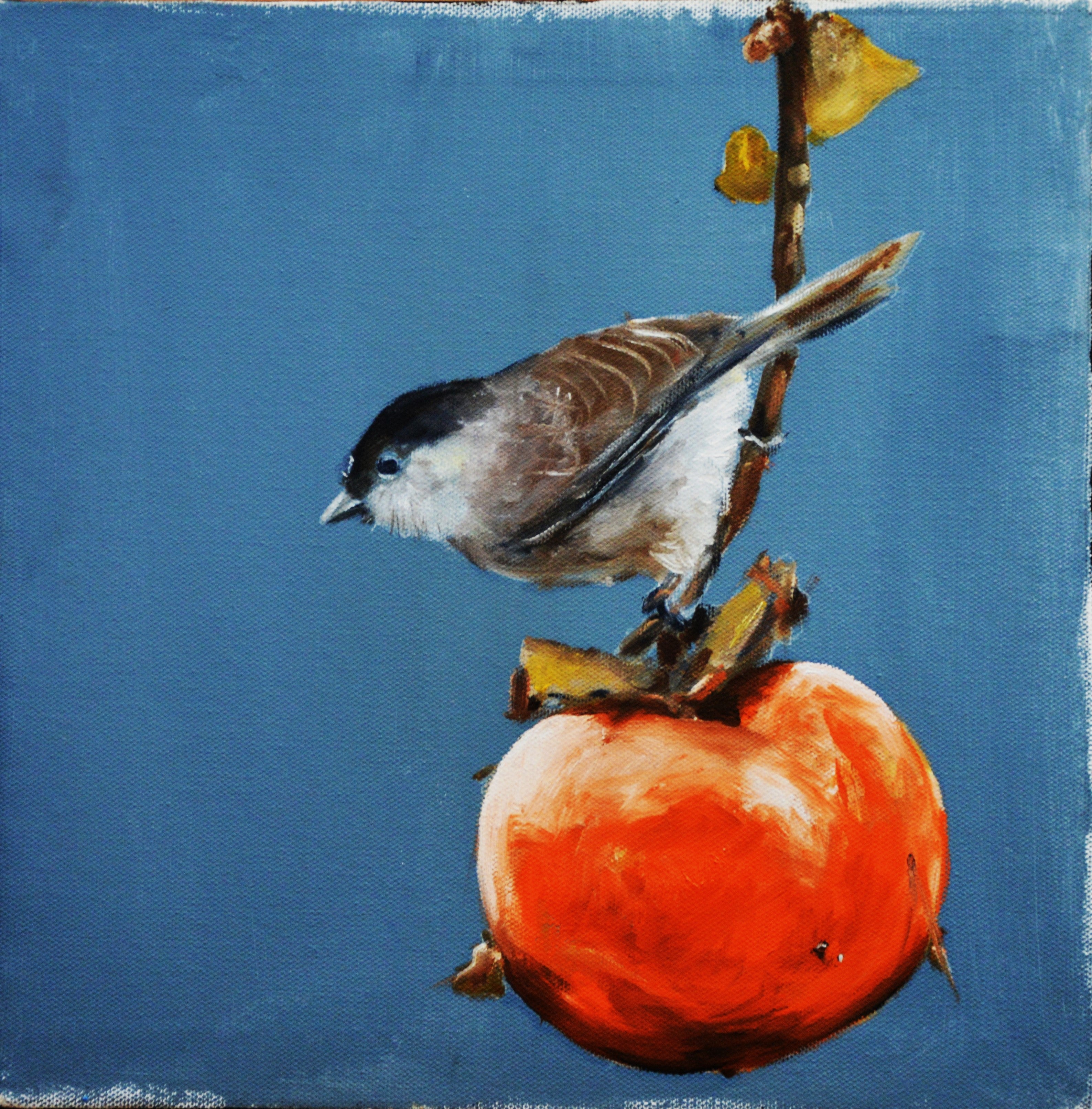 l'Armonia della natura e dei colori