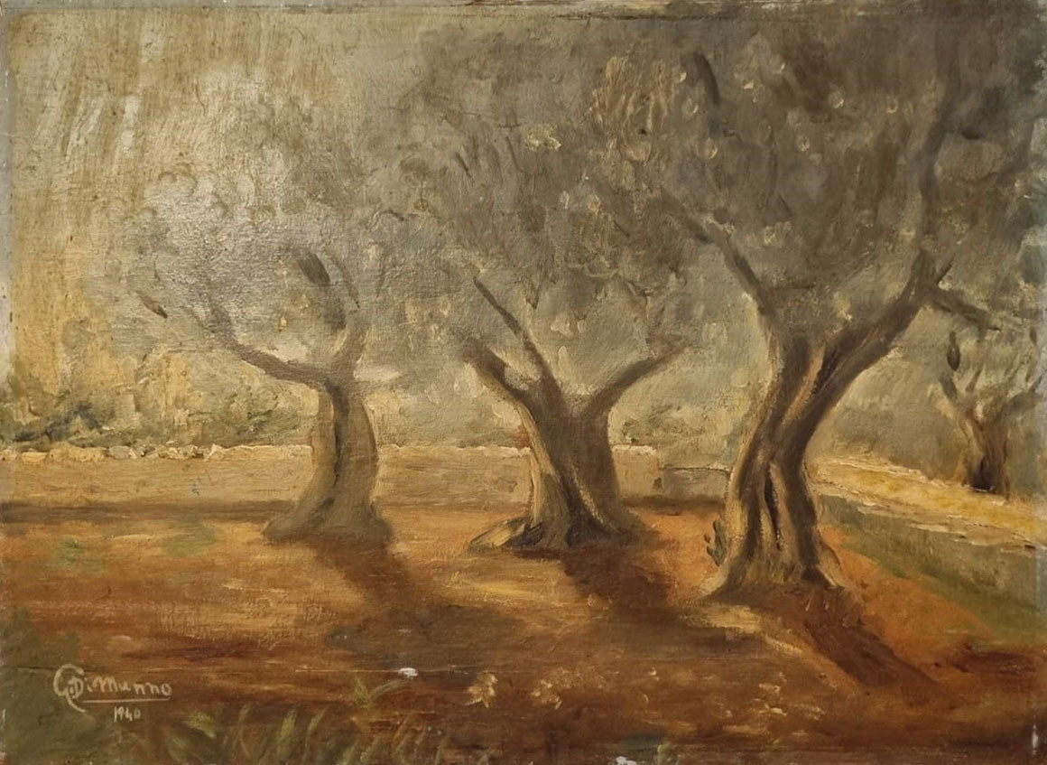 Giovanni Di Munno - Olive Trees