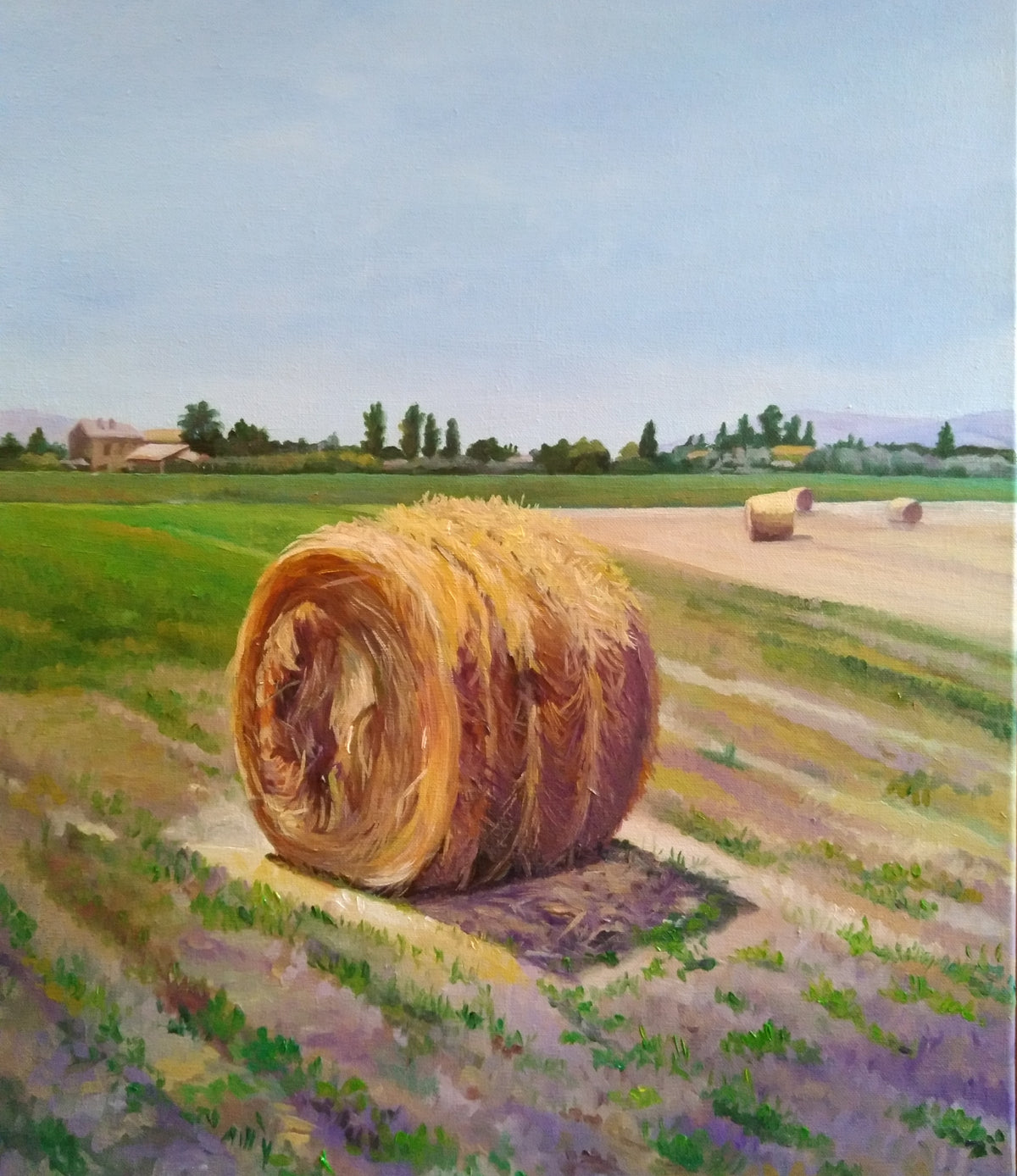Veronica Ernestina Valdivia Olguin -  Campos de Umbria