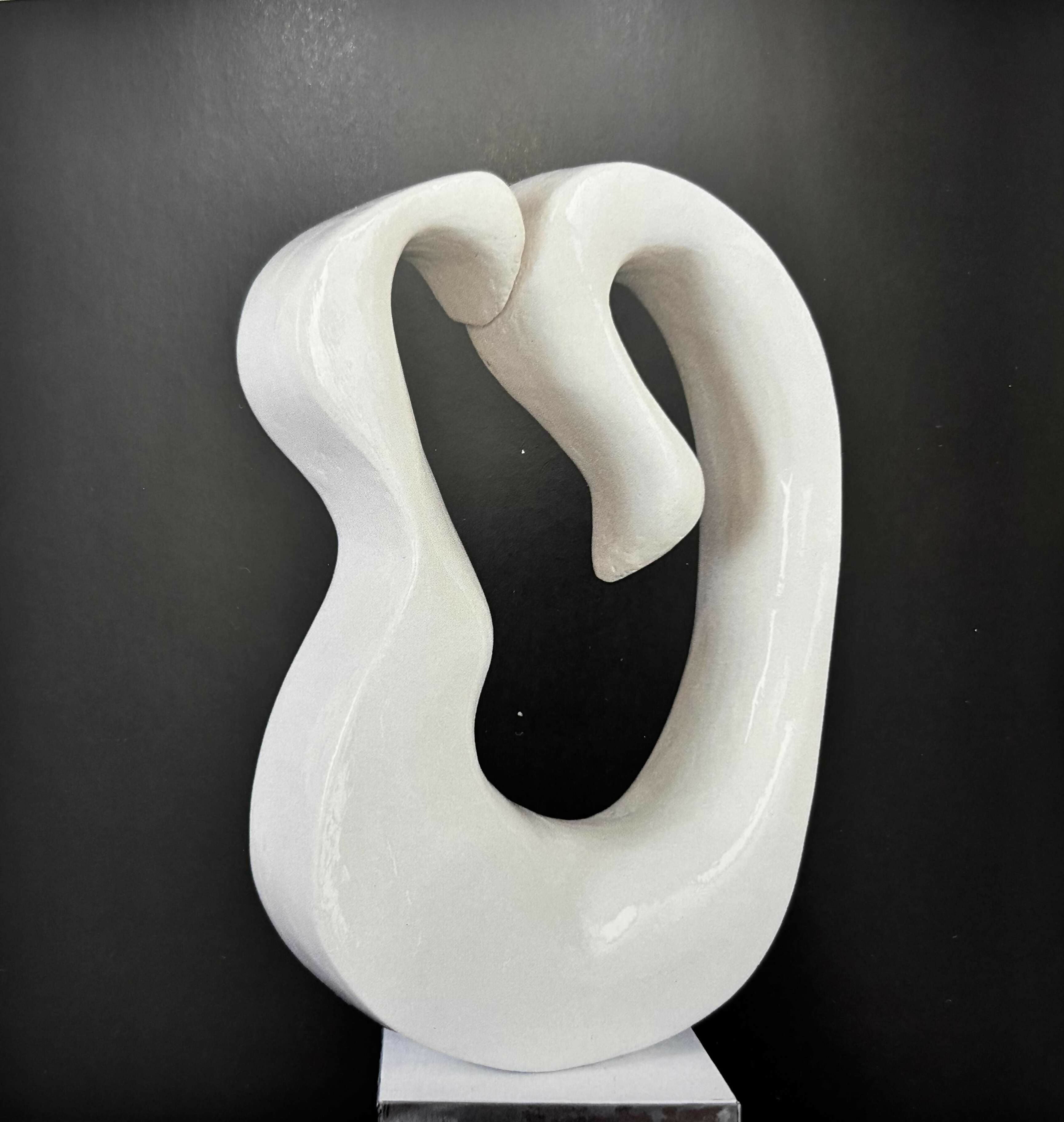 il bacio del cigno