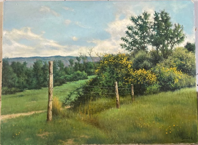 Verso il poggio del Sacramento (Maremma )