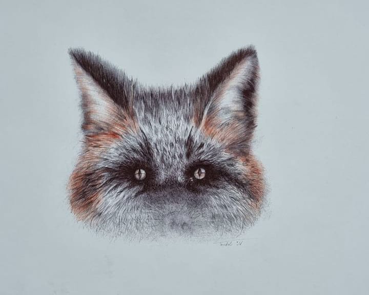 Fox