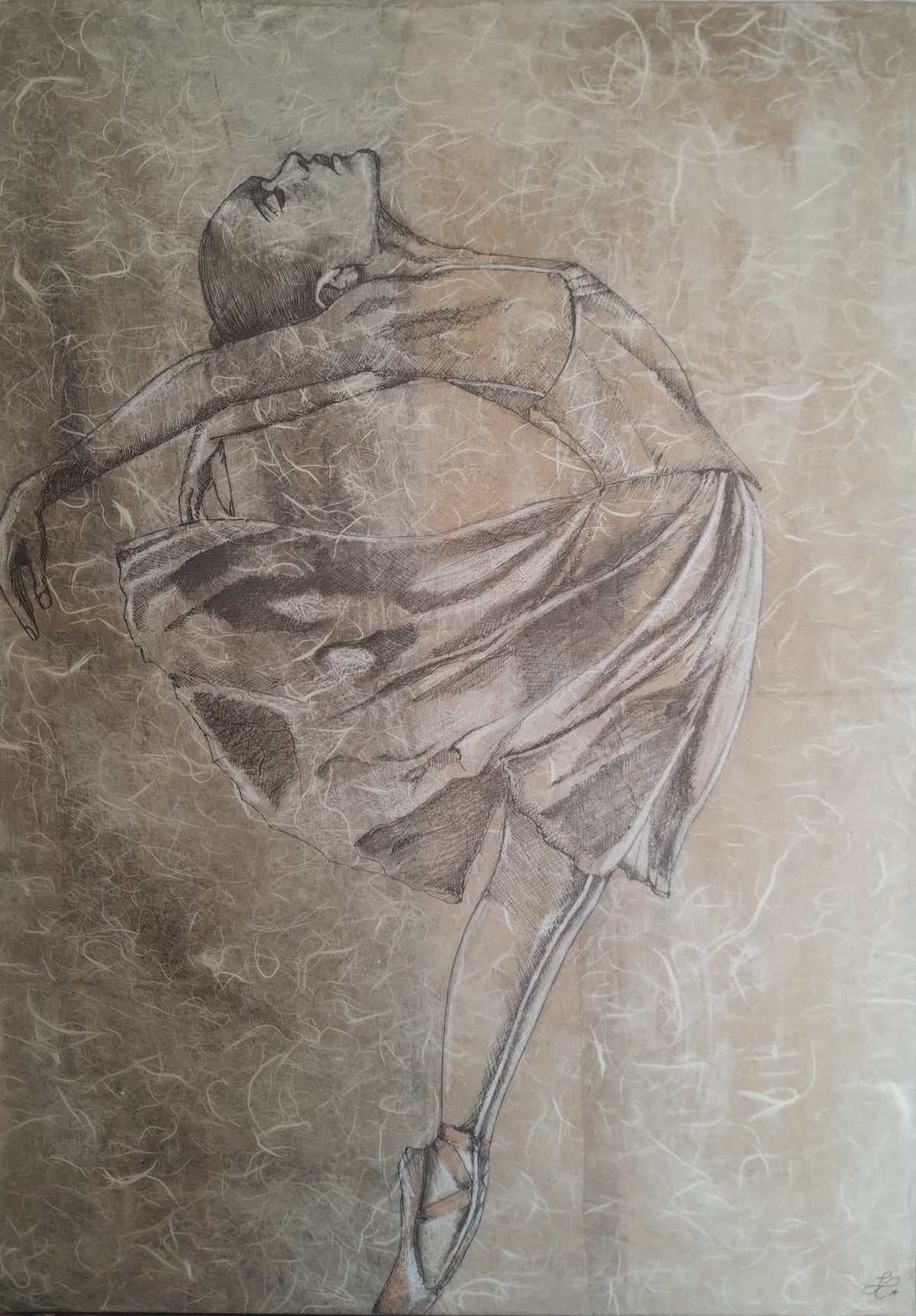 Anima in equilibrio — Stella Catti