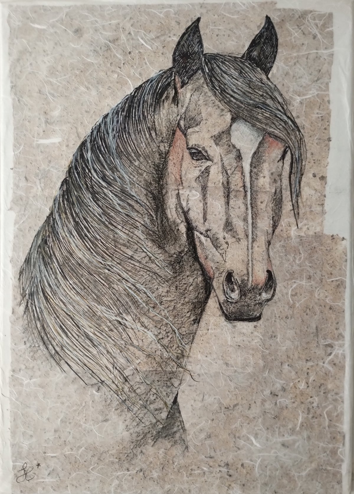 Oltre lo sguardo — Stella Catti