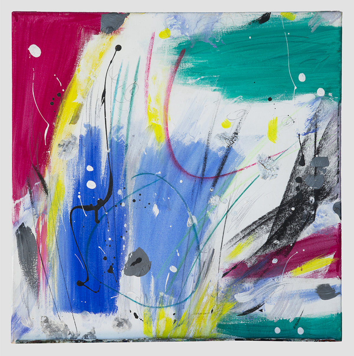 A Discovery Within the Forest/Una scoperta nella foresta — Hannah Scaramella