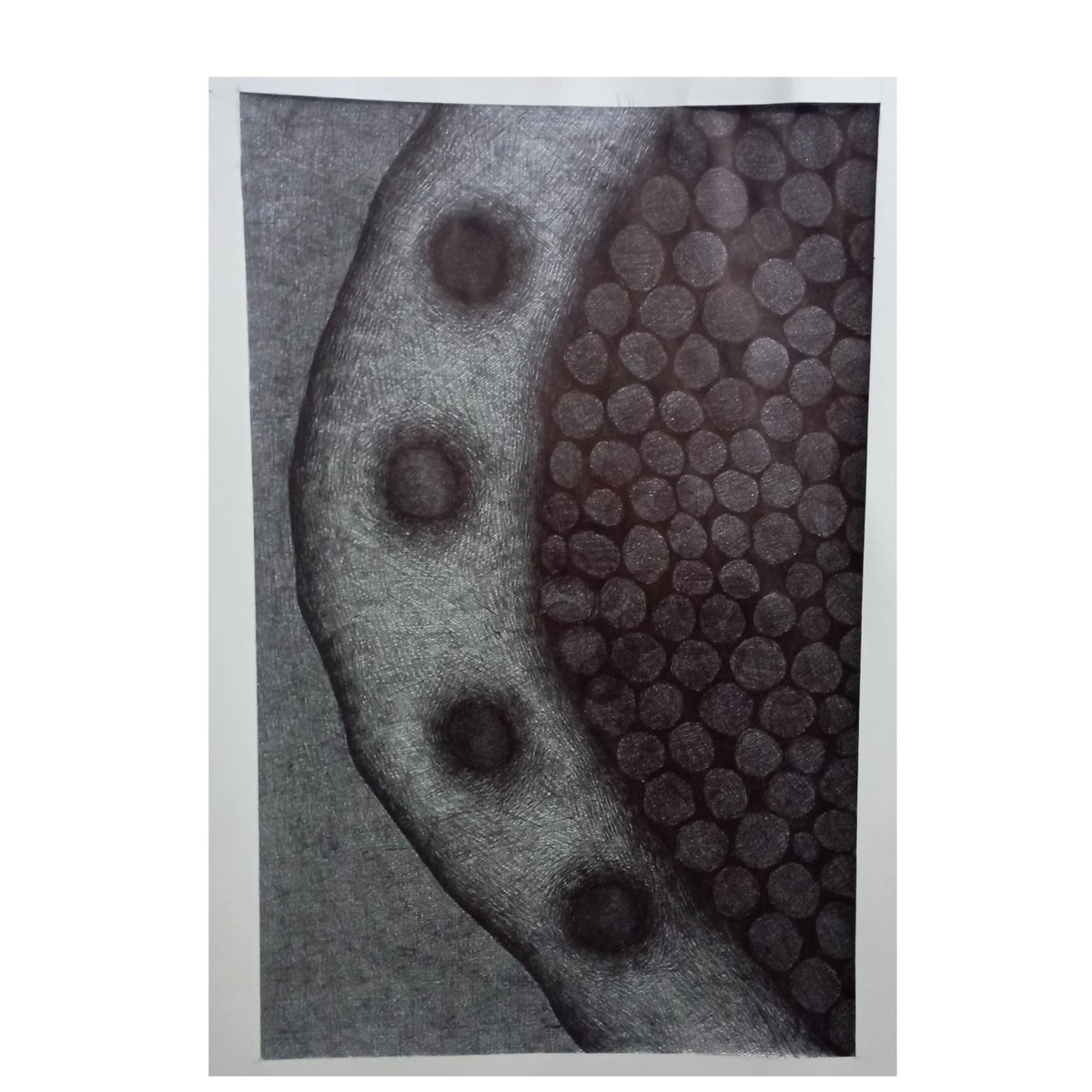 frammento di gemella nera — Fabio Santori