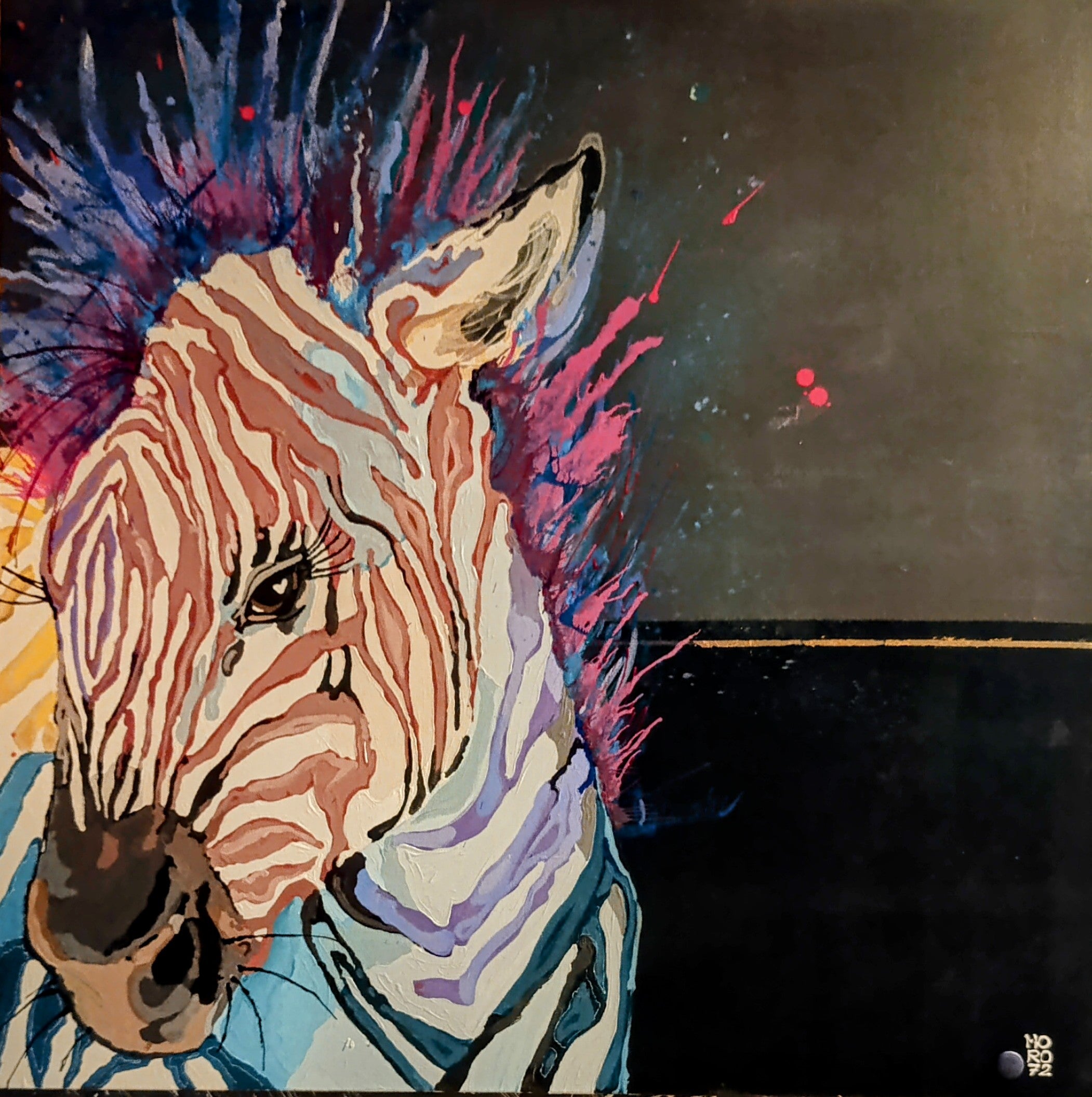 Multicolored zebra